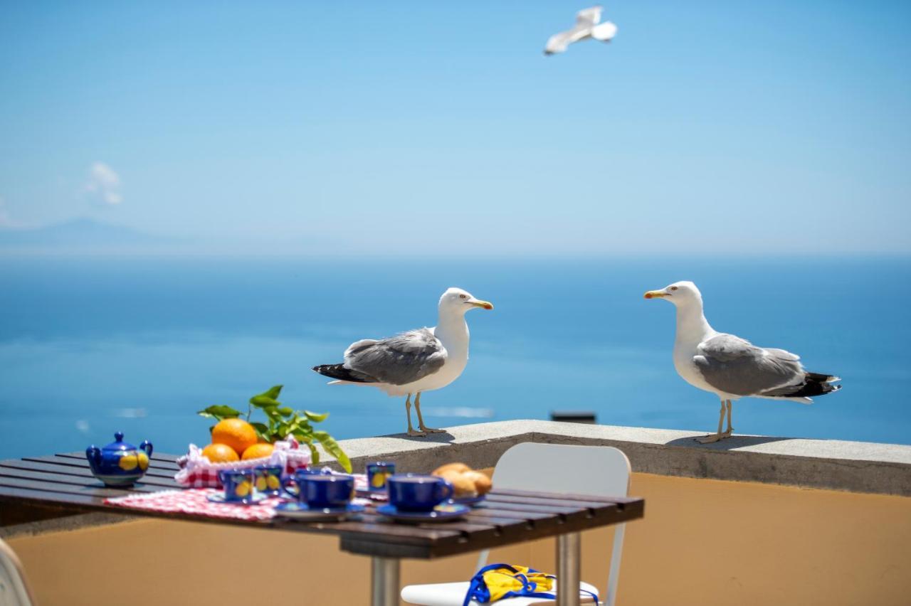Casa Licia Apartment Positano Bagian luar foto